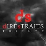 Logo di DS DIRE STRAITS TRIBUTE